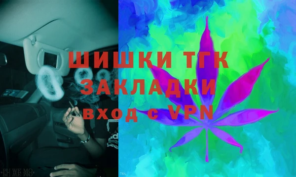 прущие грибы Пестово