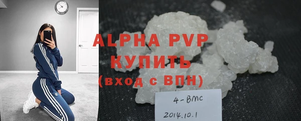 прущие грибы Пестово