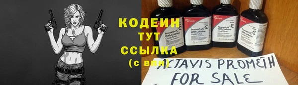 прущие грибы Пестово