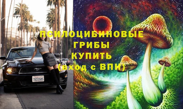 дурь Ельня