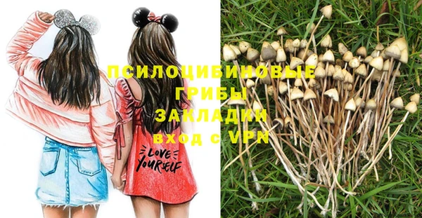 прущие грибы Пестово