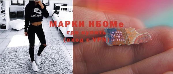 прущие грибы Пестово