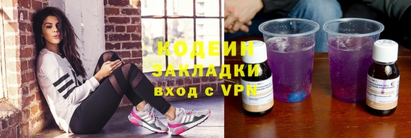 прущие грибы Пестово