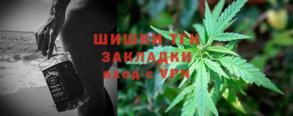 прущие грибы Пестово