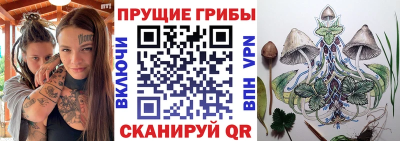 купить наркоту  OMG как зайти  Псилоцибиновые грибы MAGIC MUSHROOMS  Липки 