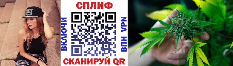 Бошки Шишки Amnesia  где продают наркотики  Липки 
